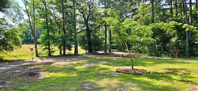 21020 Adams Rd, Greenbush, VA 23357 - photo 15