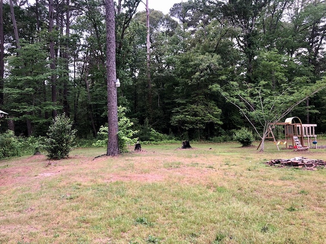 21020 Adams Rd, Greenbush, VA 23357 - view of yard featuring a playground