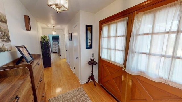 21020 Adams Rd, Greenbush, VA 23357 - photo 11
