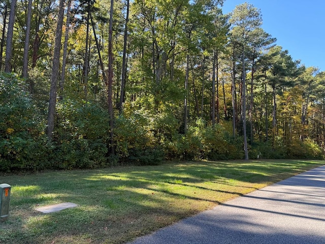 LOT95 Coventon Ln Unit 95, Horntown VA, 23395 land for sale