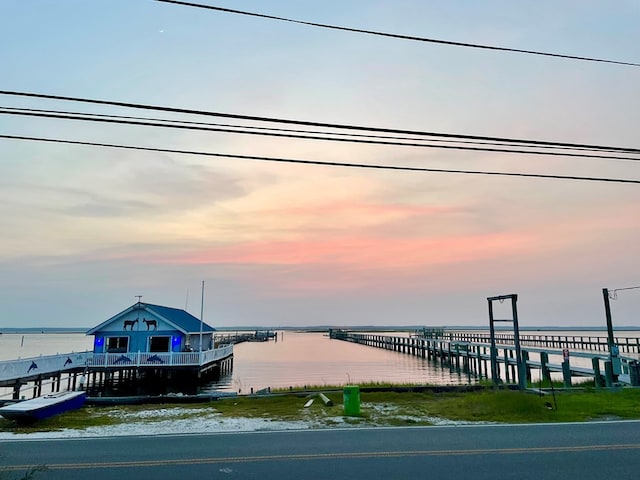 dock area with a water view