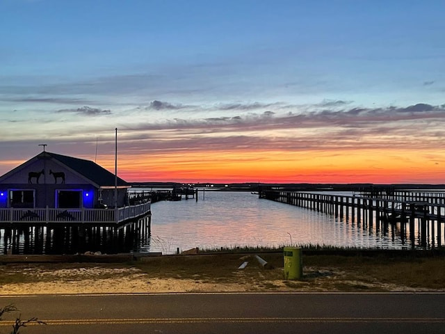 dock area with a water view