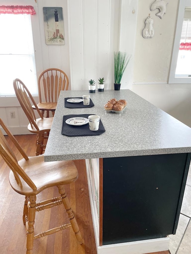 dining area with plenty of natural light