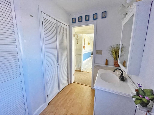 bathroom with hardwood / wood-style floors and vanity