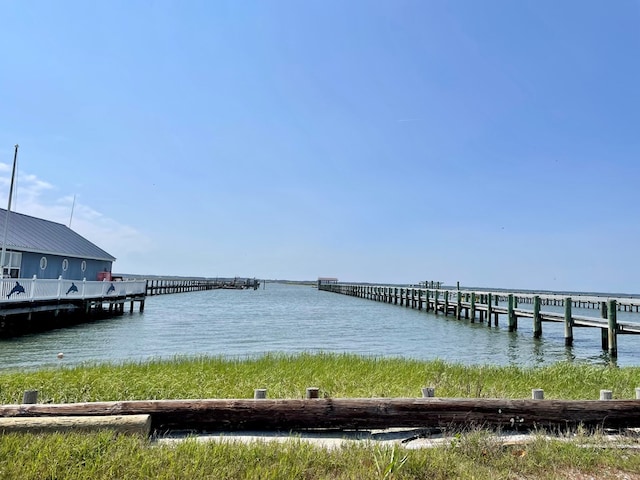 dock area with a water view