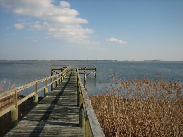 LOT17 Oyster Cove Ln Unit 17, Atlantic, VA 23303 - photo 7