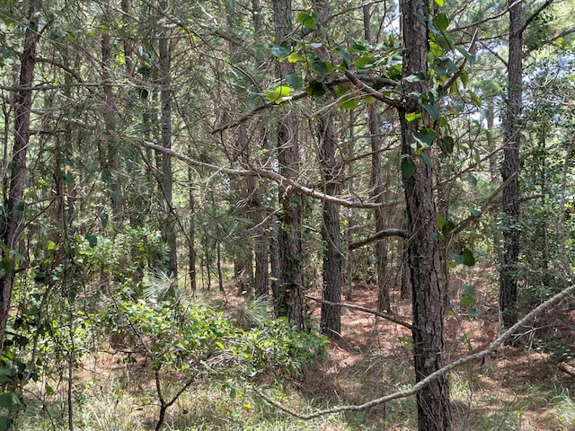 LOT10F Bay Dunes Chase Unit 10F, Cape Charles, VA 23310 - photo 7