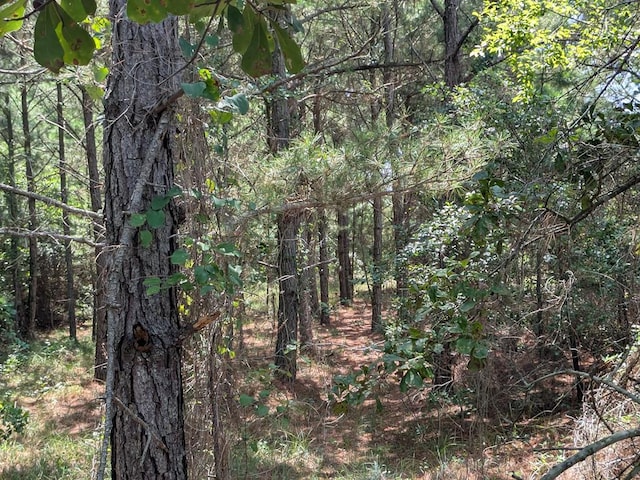 LOT10F Bay Dunes Chase Unit 10F, Cape Charles, VA 23310 - photo 6