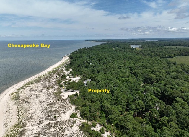 LOT10F Bay Dunes Chase Unit 10F, Cape Charles, VA 23310 - photo 4