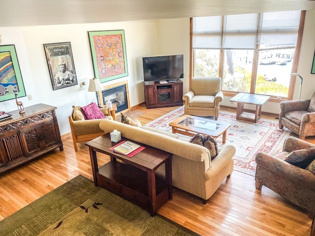 5108 Wildcat Ln, Chincoteague, VA 23336 - living room featuring light wood-type flooring and a glass covered fireplace