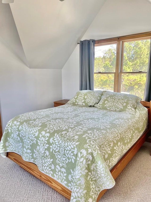 5108 Wildcat Ln, Chincoteague, VA 23336 - bedroom with vaulted ceiling and carpet floors