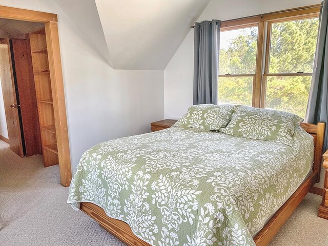 5108 Wildcat Ln, Chincoteague, VA 23336 - bedroom featuring carpet flooring and lofted ceiling