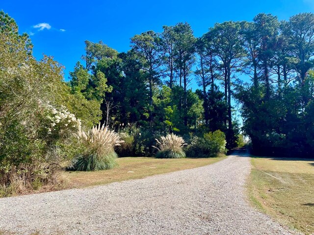 5108 Wildcat Ln, Chincoteague, VA 23336 - view of dirt / gravel road