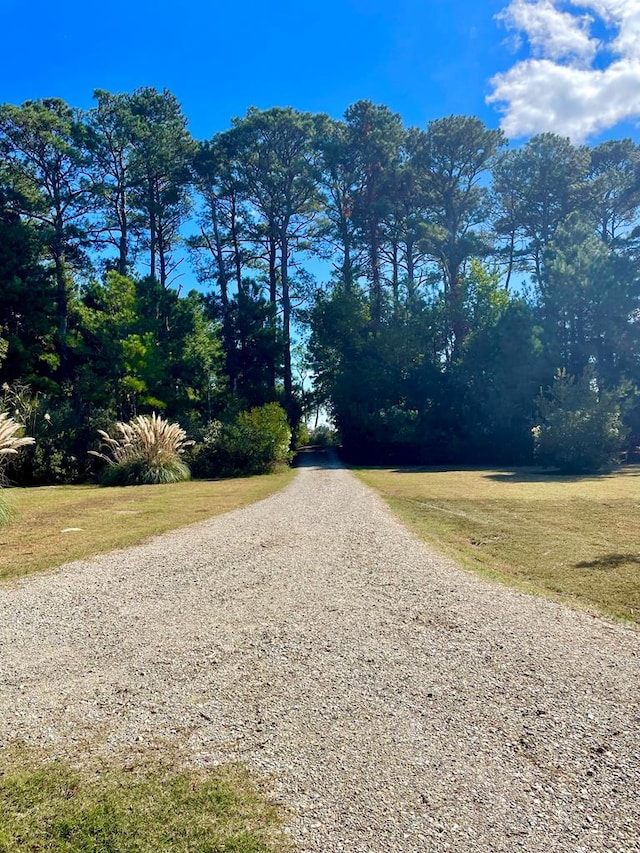 5108 Wildcat Ln, Chincoteague, VA 23336 - view of road