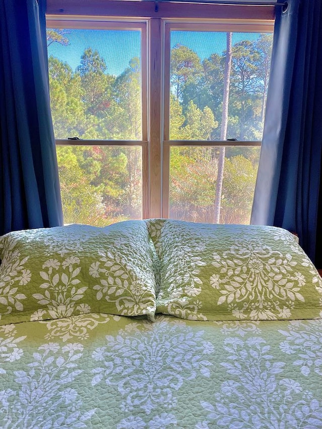 5108 Wildcat Ln, Chincoteague, VA 23336 - view of bedroom