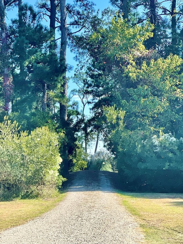 5108 Wildcat Ln, Chincoteague, VA 23336 - view of dirt / gravel road