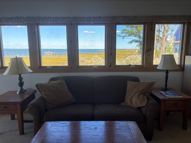 5108 Wildcat Ln, Chincoteague, VA 23336 - carpeted living room with a water view