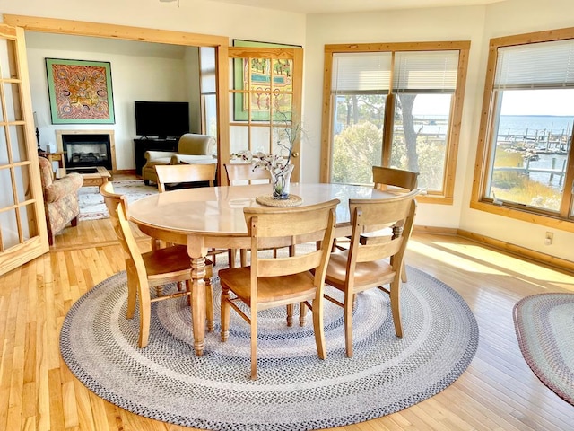 5108 Wildcat Ln, Chincoteague, VA 23336 - dining space featuring light wood finished floors and a glass covered fireplace