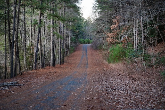 view of street with a view of trees
