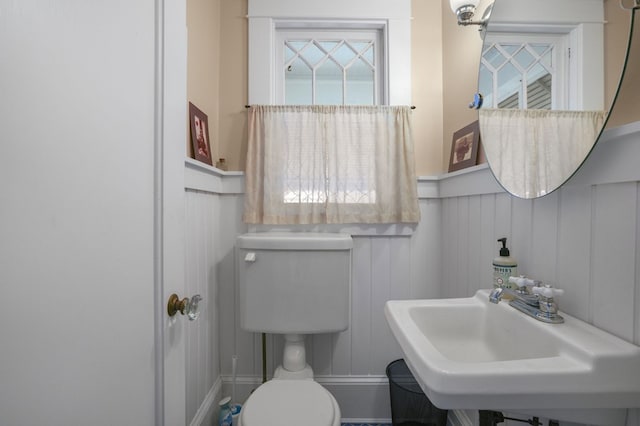 half bath featuring wainscoting, a sink, and toilet