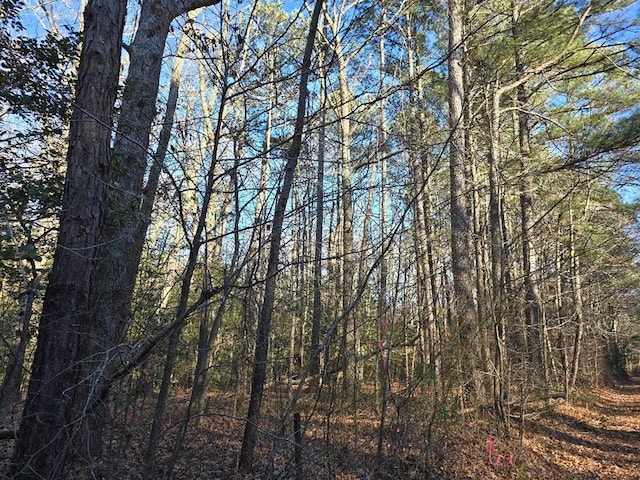 0 Airport Dr See*, Unit See, Melfa, VA 23410 - photo 3