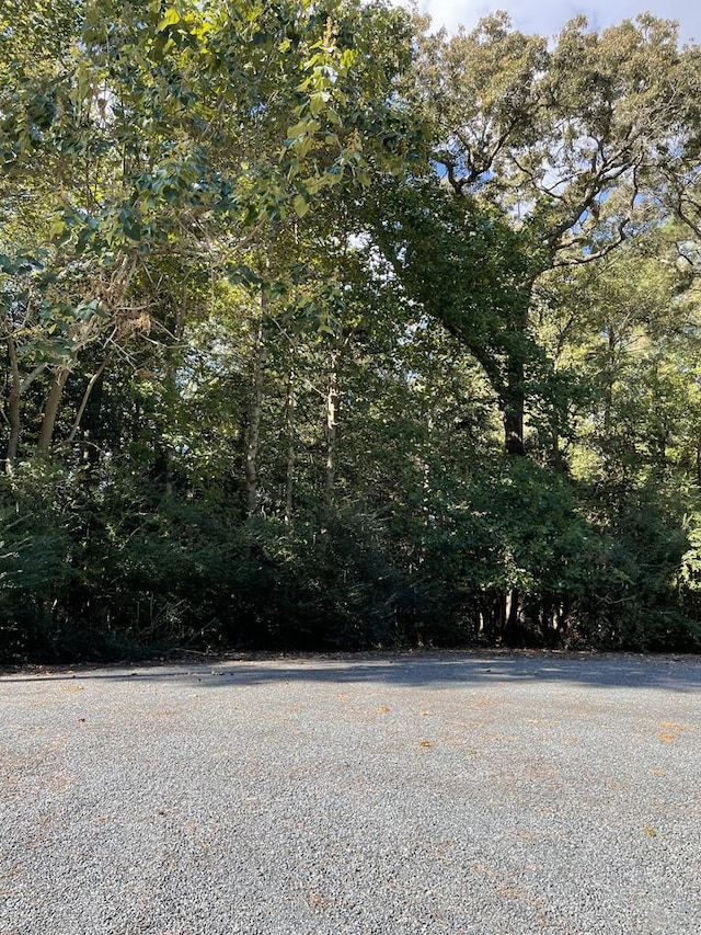 LOT22 Sandpiper Ln Unit 22, Atlantic VA, 23303 land for sale