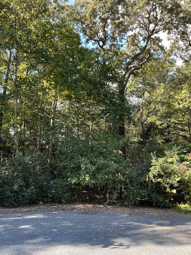 Listing photo 3 for LOT22 Sandpiper Ln Unit 22, Atlantic VA 23303