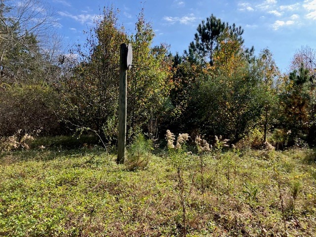 view of landscape