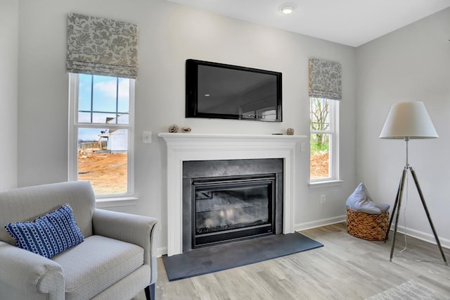 living room with hardwood / wood-style flooring