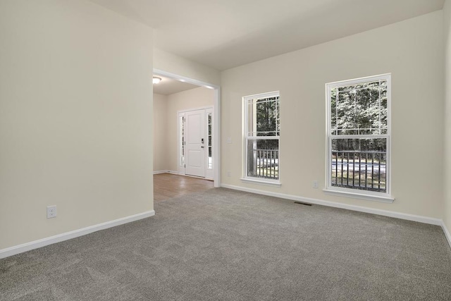 carpeted spare room featuring a wealth of natural light