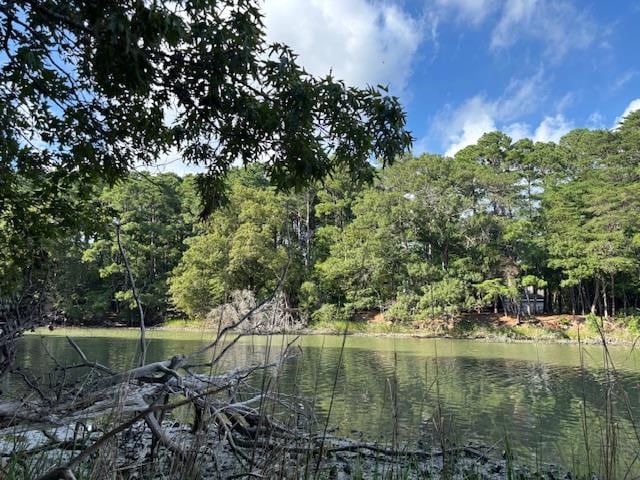 LOT202 Heron Dr Unit 202, Machipongo, VA 23405 - photo 2