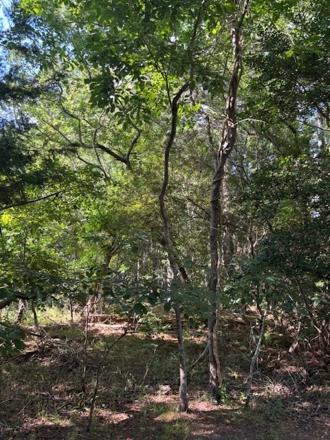 LOT202 Heron Dr Unit 202, Machipongo, VA 23405 - photo 10