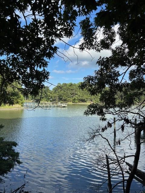 LOT202 Heron Dr Unit 202, Machipongo, VA 23405 - photo 1