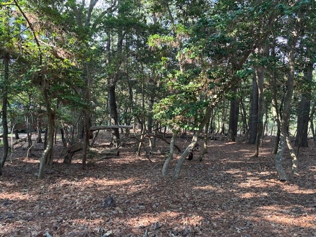 LOT202 Heron Dr Unit 202, Machipongo, VA 23405 - photo 8