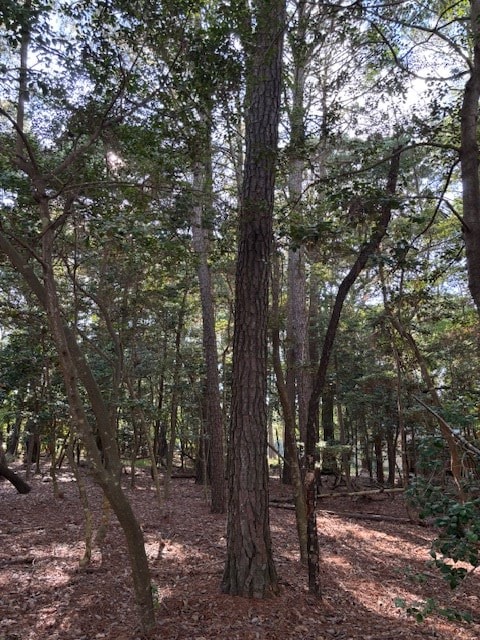 LOT202 Heron Dr Unit 202, Machipongo, VA 23405 - photo 9