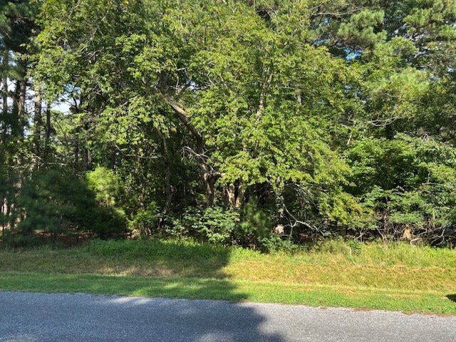 LOT202 Heron Dr Unit 202, Machipongo, VA 23405 - photo 20