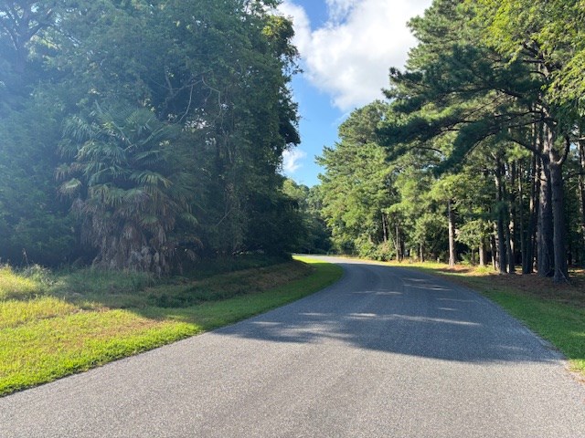 LOT202 Heron Dr Unit 202, Machipongo, VA 23405 - photo 5