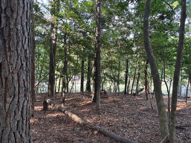 LOT202 Heron Dr Unit 202, Machipongo, VA 23405 - photo 12