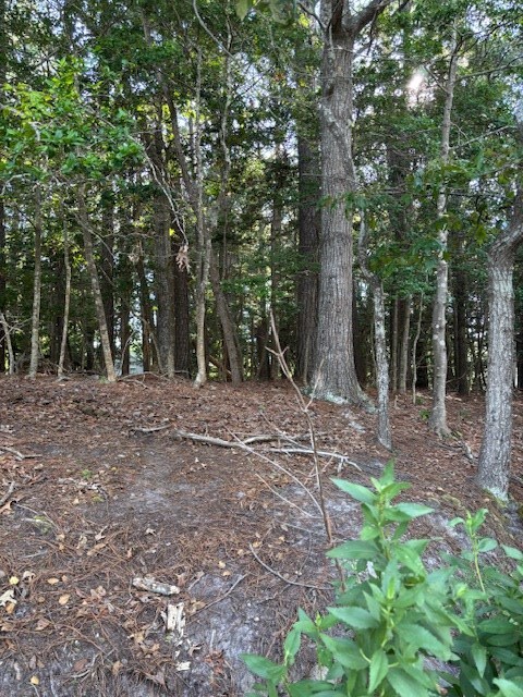LOT202 Heron Dr Unit 202, Machipongo, VA 23405 - photo 14