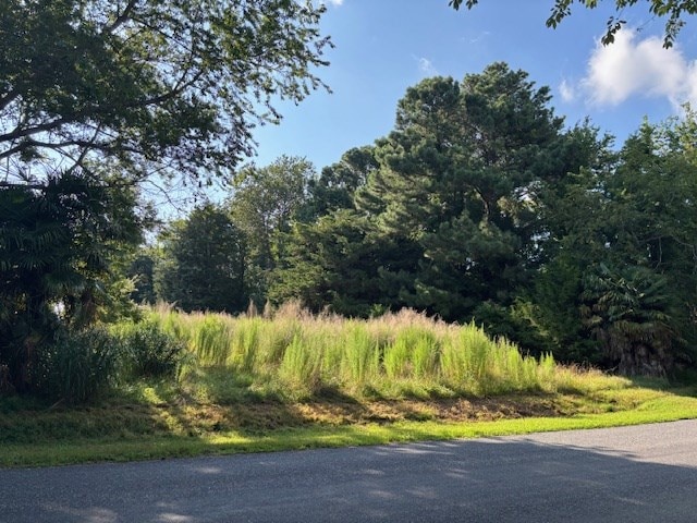 LOT202 Heron Dr Unit 202, Machipongo, VA 23405 - photo 7
