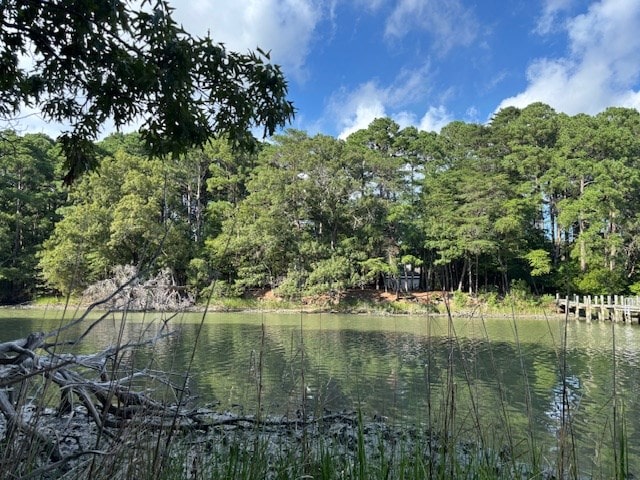 LOT202 Heron Dr Unit 202, Machipongo, VA 23405 - photo 17
