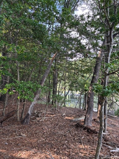 LOT202 Heron Dr Unit 202, Machipongo, VA 23405 - photo 15