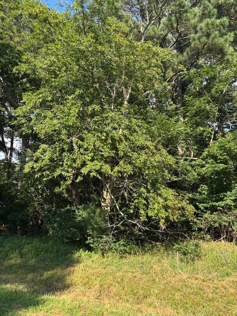 LOT202 Heron Dr Unit 202, Machipongo, VA 23405 - photo 11