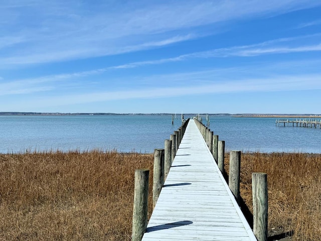 dock area featuring a water view