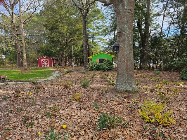 10388 Highland Ct, Exmore, VA 23350 - view of yard featuring a storage unit