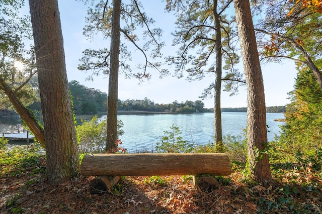 10388 Highland Ct, Exmore, VA 23350 - water view