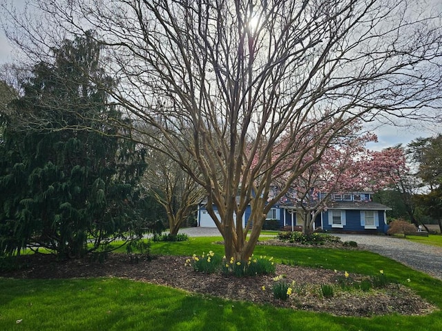 10388 Highland Ct, Exmore, VA 23350 - view of front of home with a front yard
