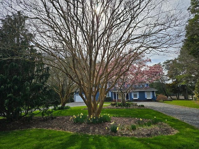10388 Highland Ct, Exmore, VA 23350 - view of front of house featuring a front lawn