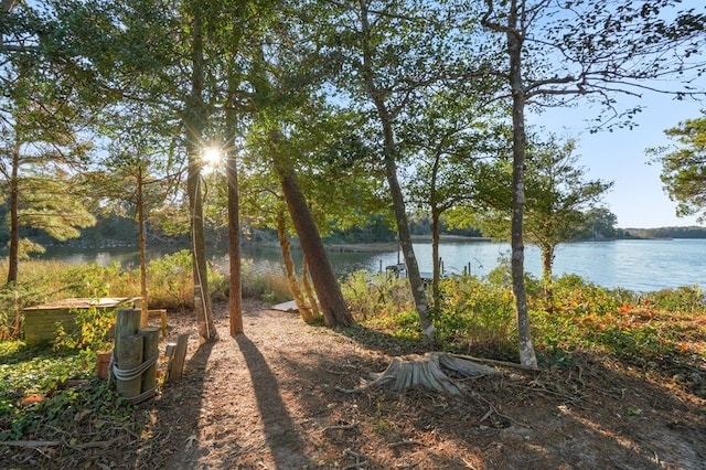 10388 Highland Ct, Exmore, VA 23350 - water view