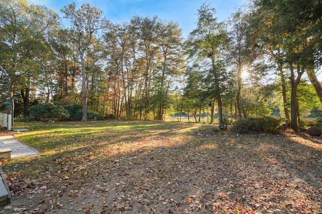 10388 Highland Ct, Exmore, VA 23350 - view of yard
